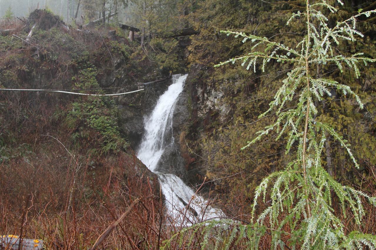 Tilby'S Rainbow Cottage Port Renfrew Exterior photo